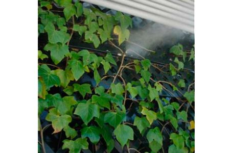 Brumizone-Nebulizador-Jardin