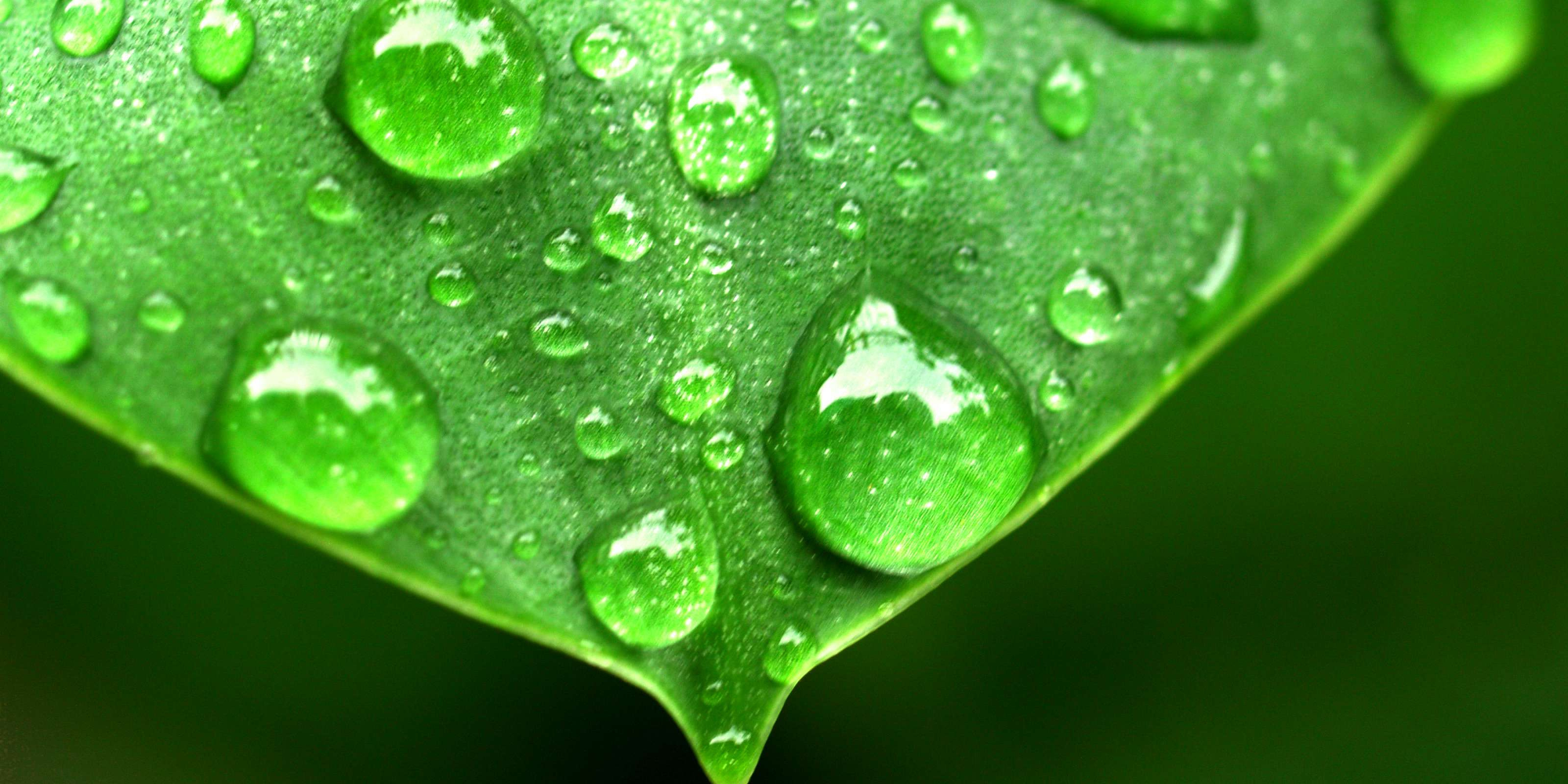 nebulizacion y naturaleza