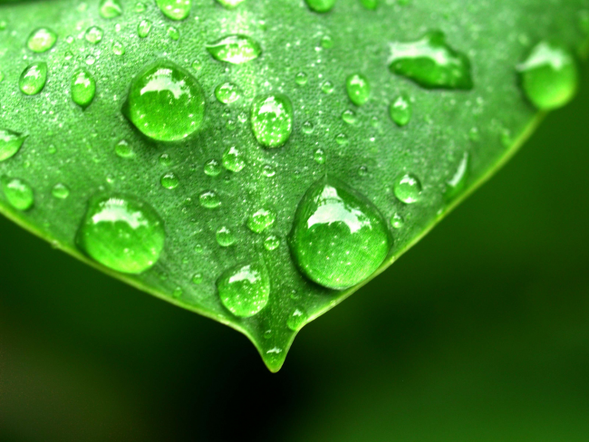 nebulizacion y naturaleza