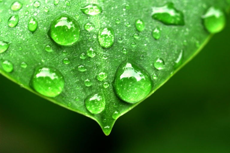 nebulizacion y naturaleza