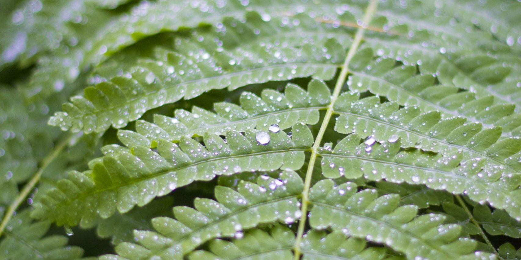 nebulizadores-para-terrazas-mayo-2016