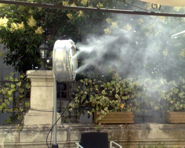 rte-nihill-priux-madrid1